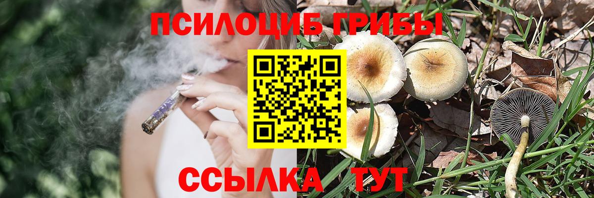 Псилоцибиновые грибы прущие грибы  где купить наркоту  Дербент  Галлюциногенные грибы мицелий  Вход с VPN 
