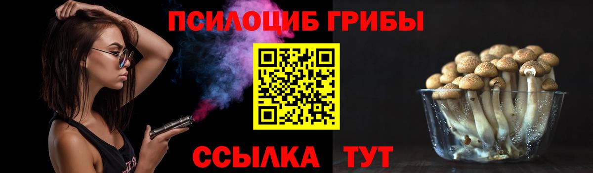 Псилоцибиновые грибы мухоморы Дербент
